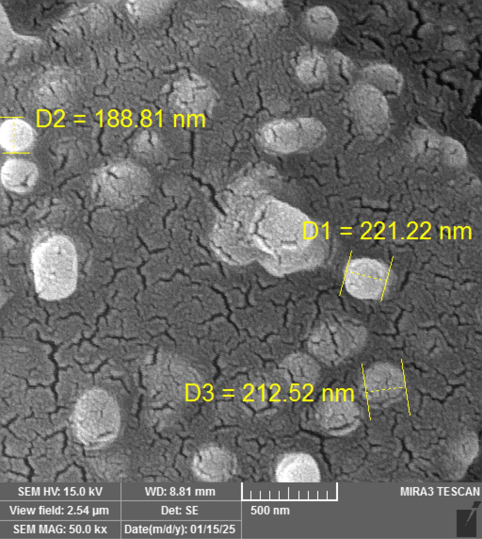 ps-31-403-g004
