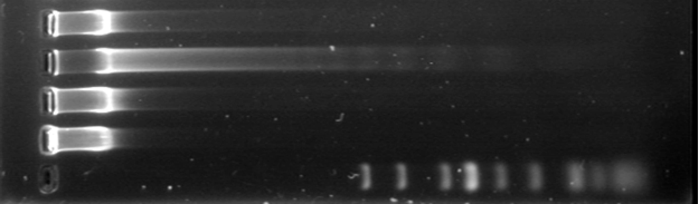 ps-31-425-g006