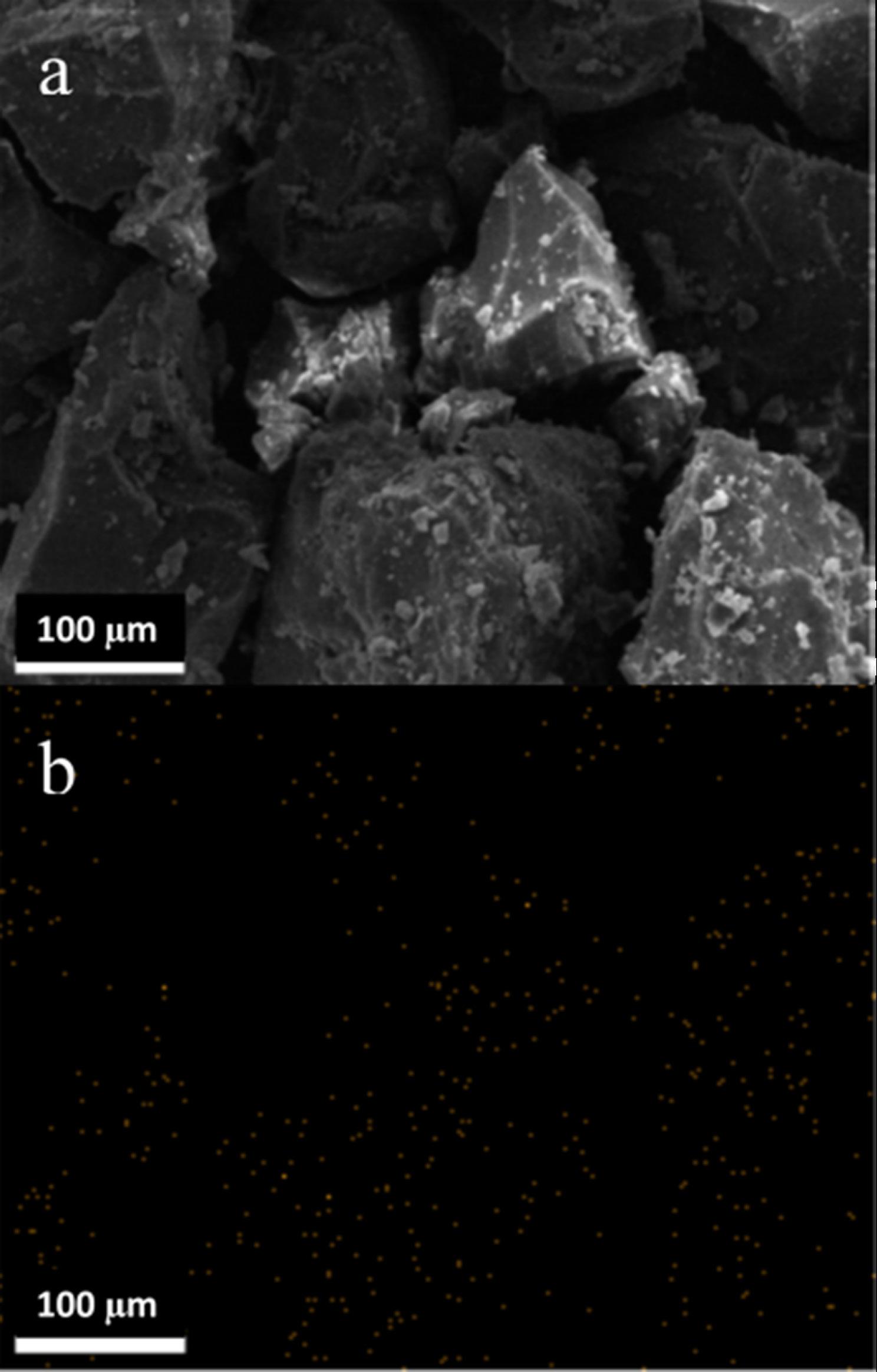 ps-32-219-g009