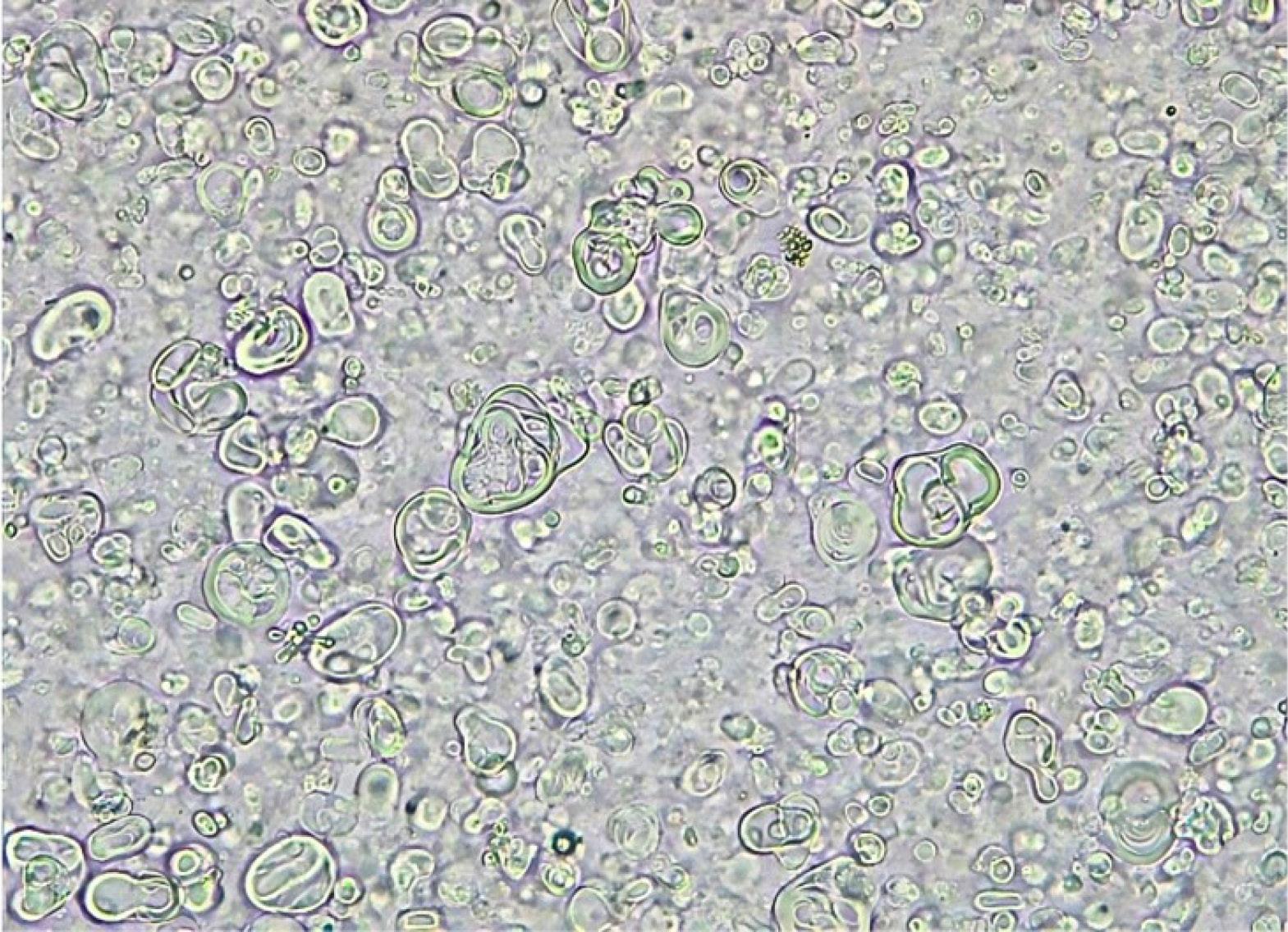 ps-32-273-g001
