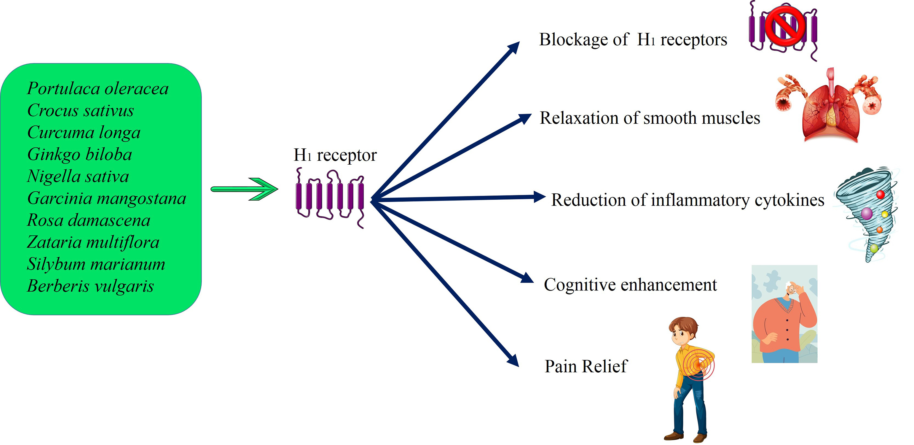 Graphical Abstract