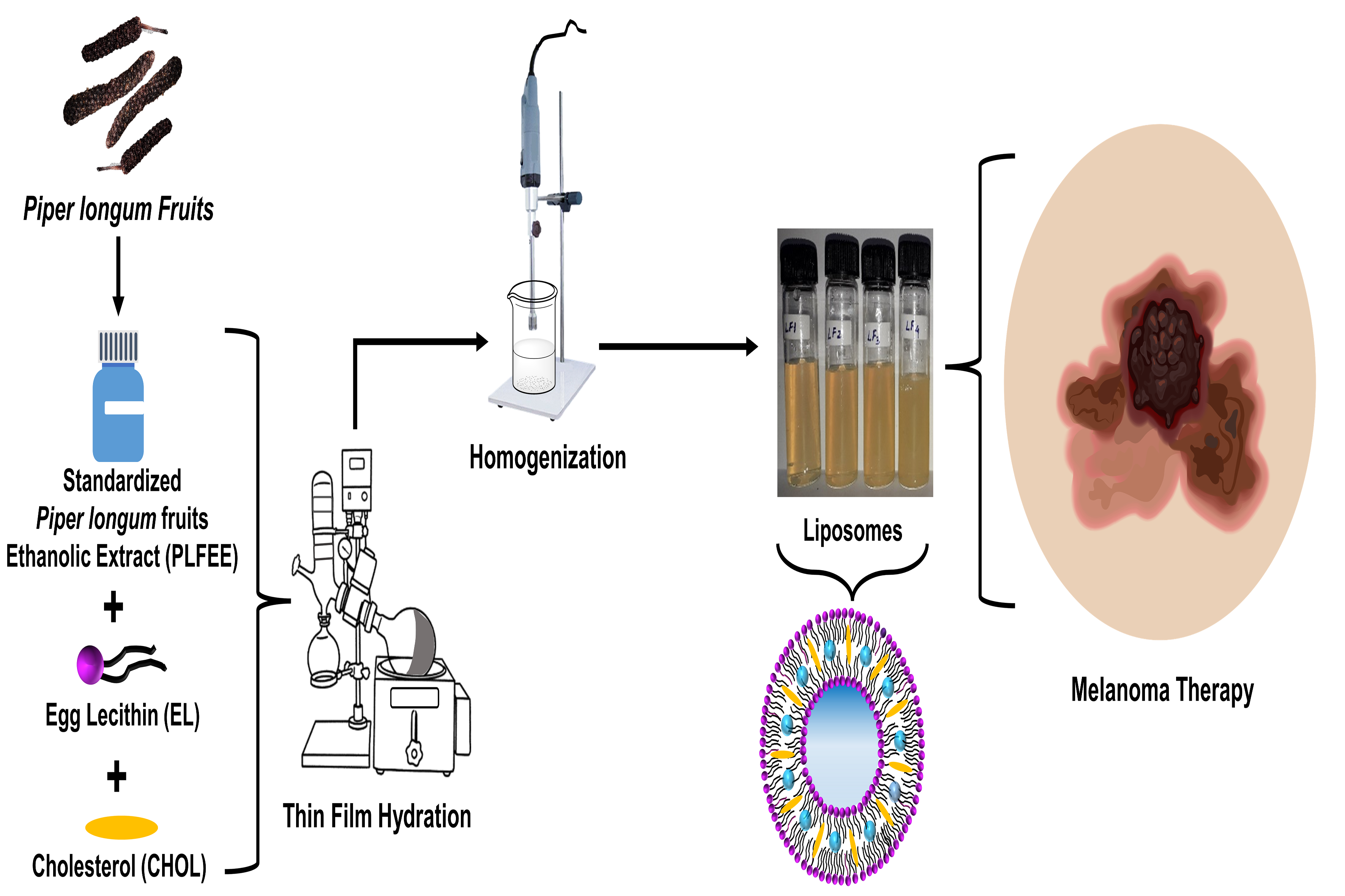 Graphical Abstract