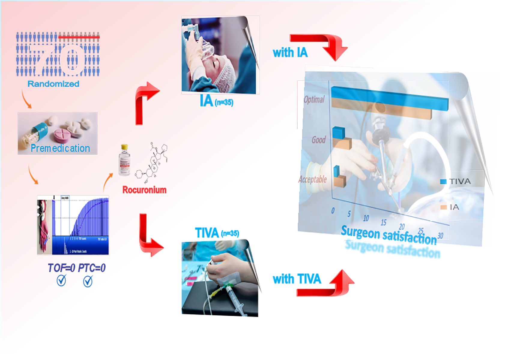 Graphical Abstract