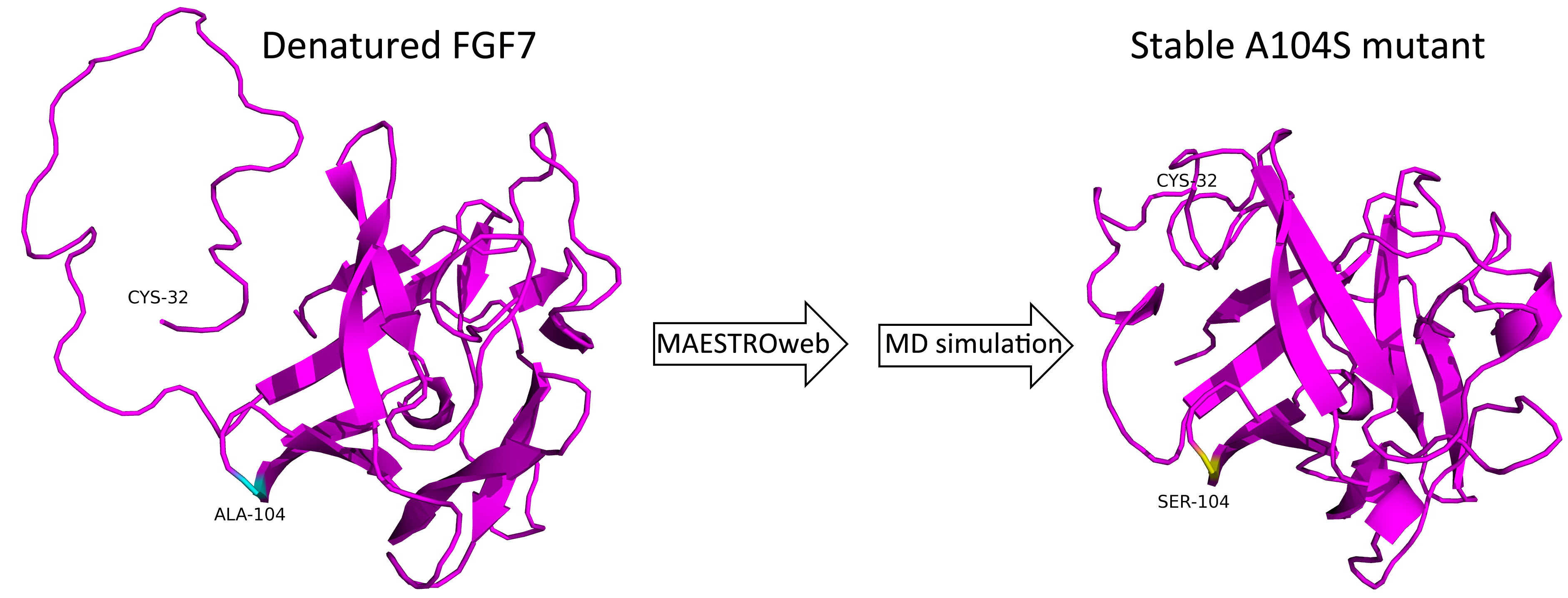 Graphical Abstract