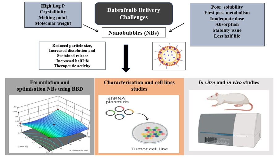 Graphical Abstract