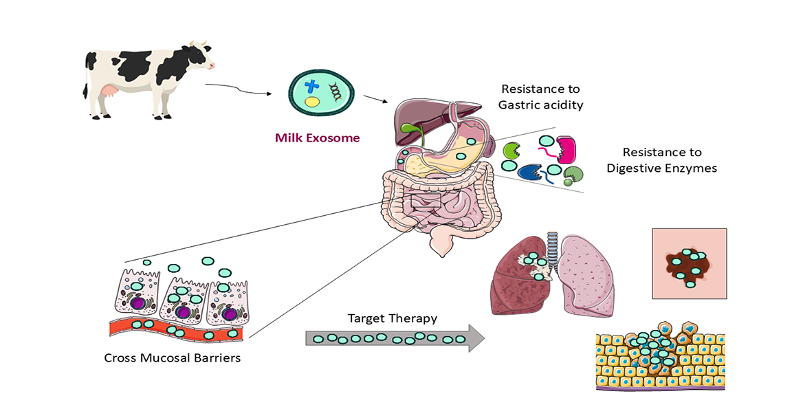 Graphical Abstract