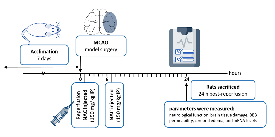 Graphical Abstract