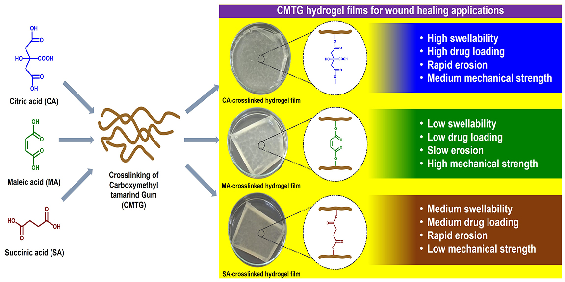 Graphical Abstract
