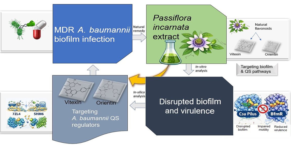 Graphical Abstract