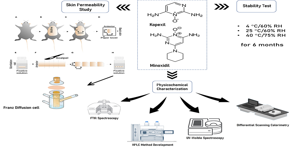 Graphical Abstract
